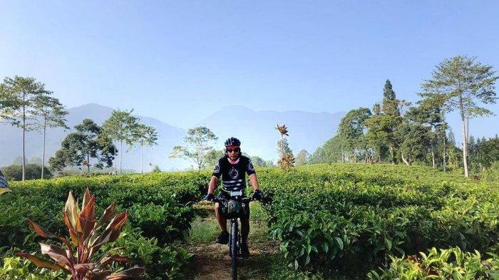 Rindu Suasana Pedesaan dan Udara Sejuk? Coba Kunjungi 5 Wisata Kebun Teh di Bogor Ini