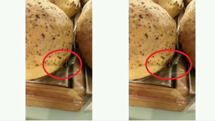 Usai Tikus, Beredar Lagi Video Kecoak Ditemukan pada Roti yang Dipajang di Rak Penjualan