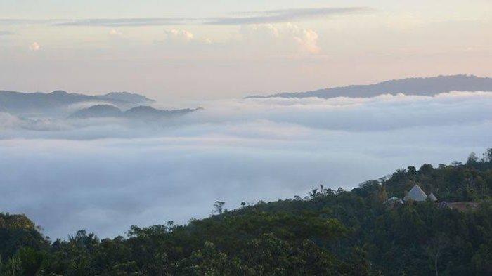 Menjelajahi Kampung Lembah Wajur, Negeri di Atas Awannya Flores