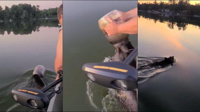 Viral di Medsos, Sebuah Keluarga Selamatkan Anak Beruang yang Kepalanya Terperangkap di Toples