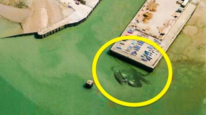 Masih Misterius! 8 Hal Kontroversial Ini Pernah Ditemukan di Google Maps, No 1 Bikin Merinding