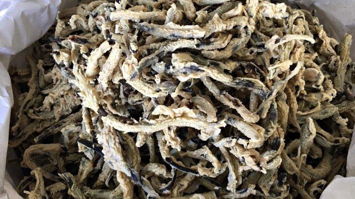 Keripik Belut, Kuliner Renyah dan Gurih yang Bisa Jadi Oleh-oleh Saat Liburan ke Jogja