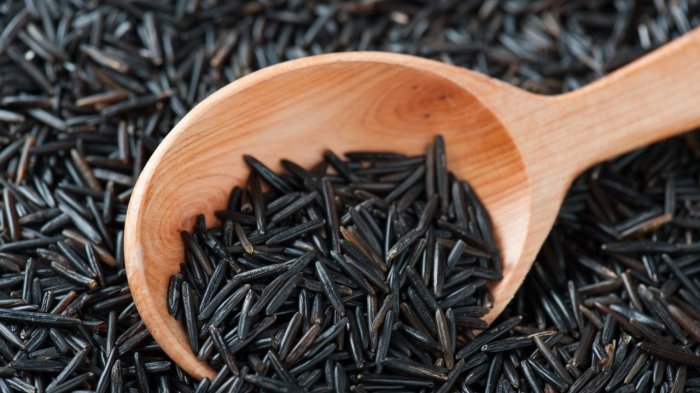 Sama-sama Dominan Zat Pati, Ini Perbedaan antara Beras Ketan Hitam dengan Beras Putih