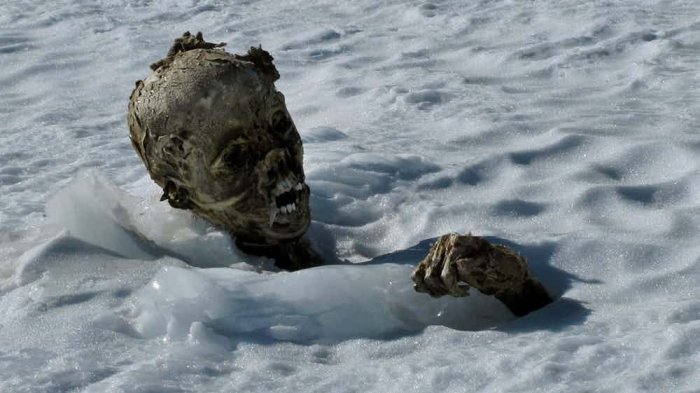 7 Hal Mengerikan yang Akan Terjadi Jika Semua Gletser di Bumi Meleleh