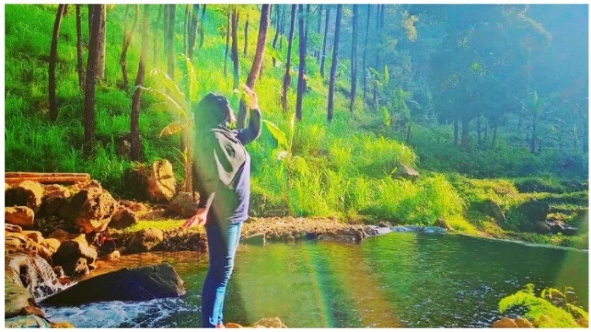 Klurak Eco Park Pacet, Tempat Wisata dengan Kolam Renang di Tengah Hutan Pinus