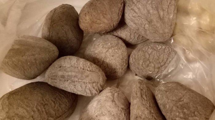 5 Buah Paling Mematikan di Dunia, Ada Belimbing hingga Kluwek