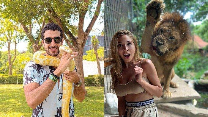 Program Baru di Bali Zoo, Wisatawan Bisa Gowes Keliling Kebun Binatang
