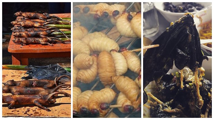 7 Kuliner Ekstrim dari Berbagai Daerah di Indonesia, Pernah Coba Sate Ulat Bulu?