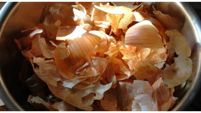 Wow! Kulit Bawang Bombay di Swiss Dijual Mahal Hingga Dianggap Barang Mewah, Ini Alasannya