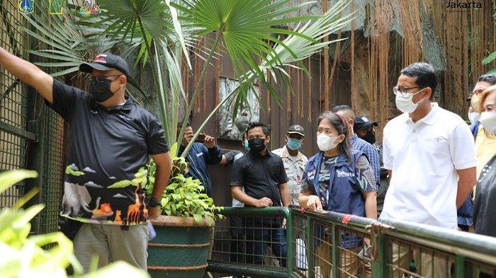 Ragunan Diserbu Wisatawan yang Liburan Tahun Baru, Sandiaga Puji Kedisiplinan Prokes