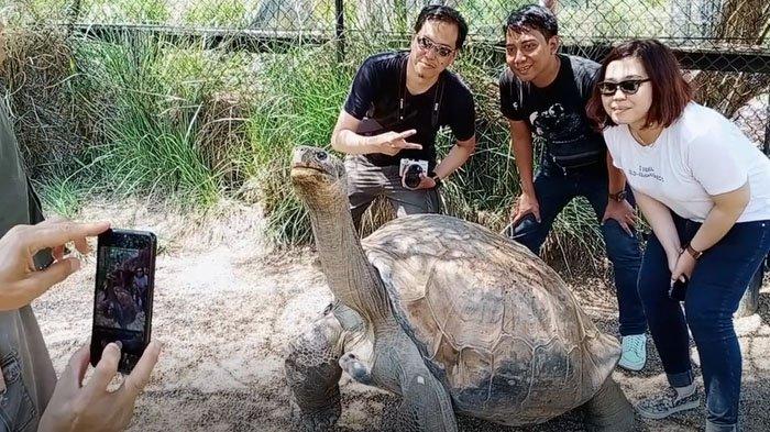 Main ke Australia Reptile Park: Merinding Lihat Si Cokelat Pembawa Maut, Lalu Mengelus Si Imut Koala