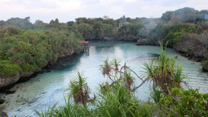 Indahnya Laguna Weekuri, Kolam Renang Alami di Sumba yang Punya Air Jernih