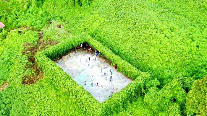Fantastis! Berada di Tengah-tengah Hutan, Inikah Lapangan Sepak Bola Tercantik di Dunia?