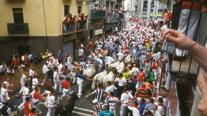 Pria Berusia 74 Tahun Tewas Diseruduk Banteng Seberat 520 Kg Saat Menonton Festival