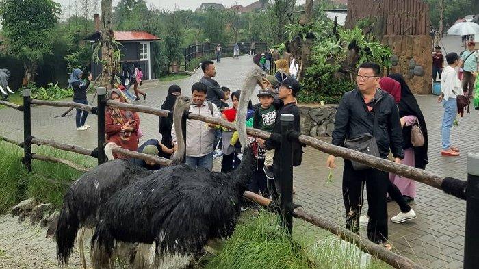 Harga Tiket Masuk Lembang Park & Zoo, Tempat Wisata di Bandung untuk Liburan Akhir Pekan