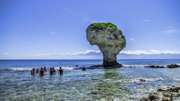 Aktivitas Seru di Pulau Liuchiu Taiwan, Berenang Bersama Penyu Hijau Tak Boleh Dilewatkan