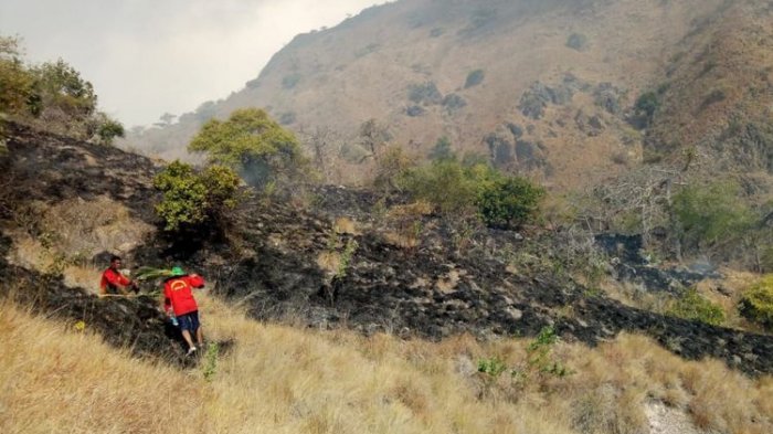 Gili Lawa Darat Ditutup Pasca Kebakaran, Lokasi-lokasi Ini Yang Masih Boleh Dikunjungi Wisatawan