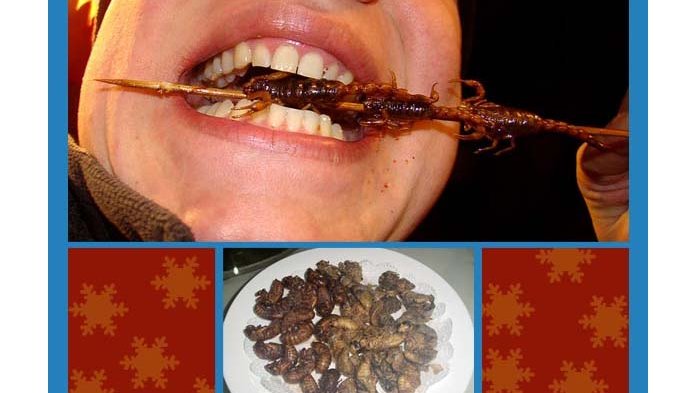 Jangkrik Hingga Kupu-kupu, Ini 6 Serangga yang Sering Dimakan Manusia, Mana Favoritmu?