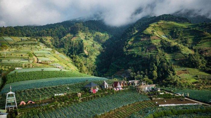 Mangli Sky View yang berlokasi di Mangli, Kaliangkrik, Magelang, Jawa Tengah.