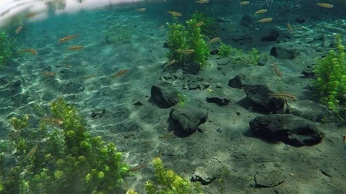 Panduan Rute dan Harga Tiket Masuk Mata Air Sumber Sirah dan Puncak Bundu, Tempat Wisata di Malang