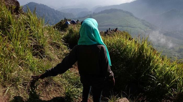 Tiga Pendaki Hilang di Gunung Ungaran, Diduga Tersesat saat Menuju Sendang Suroloyo