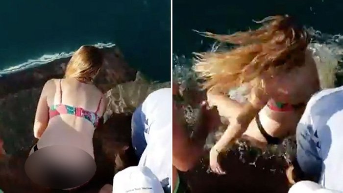 Detik-detik Wanita Diseret Hiu ke Dalam Air saat Memberi Makan, Begini Keadaannya Sekarang