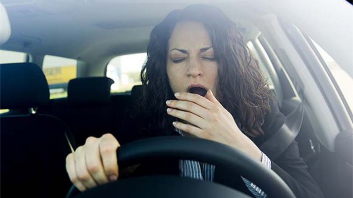 Selain Kopi, Inilah 5 Makanan dan Minuman yang Ampuh Hilangkan Kantuk Saat Perjalanan Mudik