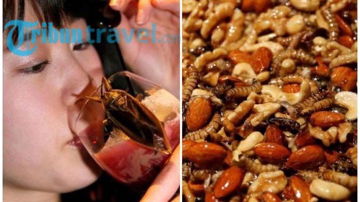 Dianggap Menjijikkan, Ternyata Ilmuwan Malah Anjurkan Makan Serangga! Lihat Keajaiban Manfaatnya