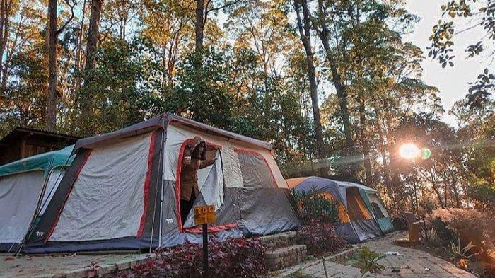 Mojosemi Forest Park Magetan: Lokasi, Harga Tiket Masuk, dan Jam Operasional Maret 2022