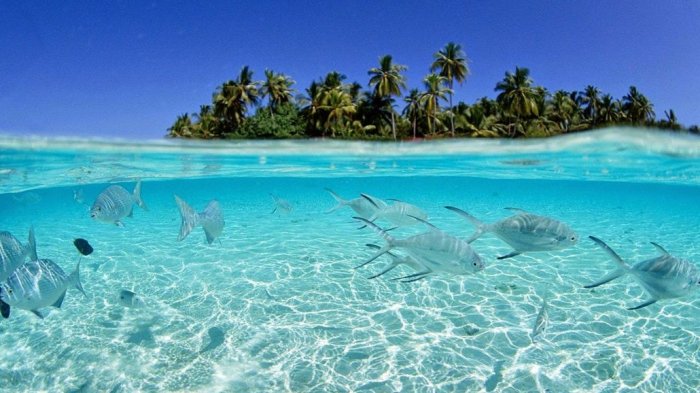 Selain Bali, Ini 10 Tempat Wisata Indonesia yang Wajib Dikunjungi Tahun 2017