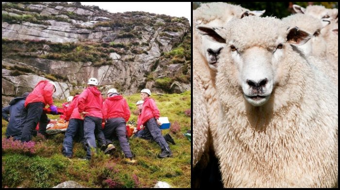 Pendaki Asal Irlandia Dilarikan ke Rumah Sakit setelah Tertimpa Domba yang Terjatuh