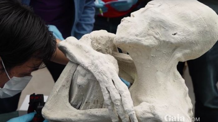 Mumi Misterius Ditemukan di Peru, Bentuknya Lebih Mirip 'Alien' daripada Manusia