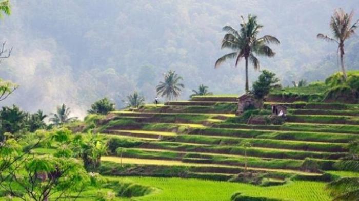Nagari Pariangan - Jadi yang Tercantik di Dunia, Ini Keistimewaan Desa di Lereng Gunung Marapi