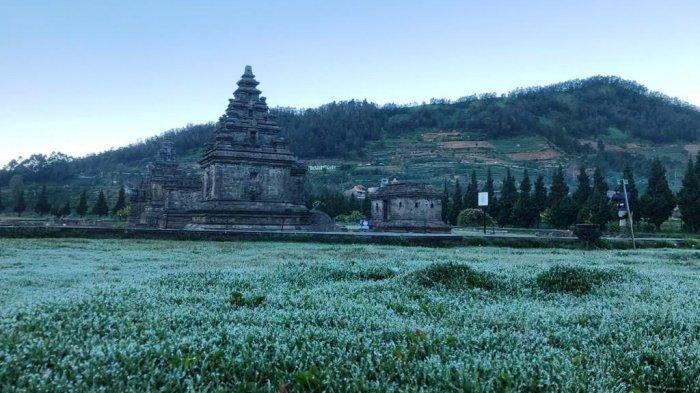 Fenomena Bun Upas di Dieng Muncul saat PPKM Darurat, Wisatawan Tak Bisa Lihat Langsung