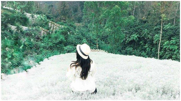 10 Destinasi Paling Populer di Indonesia Pada 2018 Versi Tripadvisor, Bali Masih Jadi Peringkat 1