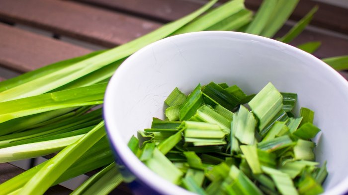 Fakta Makanan - Penetral Racun Sampai Kanker, Ini 7 Manfaat Mengejutkan Daun Pandan