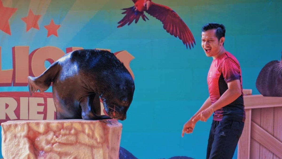 Panduan liburan ke Ocean Dream Samudra Jakarta, lengkap dengan harga tiket masuk, hotel terdekat dan tempat sewa mobil