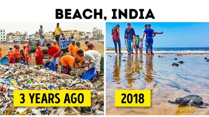 Afrika hingga India, 3 Kisah Pahlawan Bumi yang Beri Kesempatan Penghuni Planet Bernafas Lega