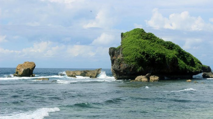 Pantai Ngandong - Snorkeling Hingga Main Kano, Begini Cara Menikmati Keindahan Pantai di Gunungkidul