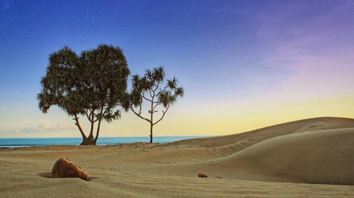 Pantai Oetune - Tak Perlu Jauh-jauh ke Afrika, Kalau di Indonesia Juga Punya Gurun Sahara
