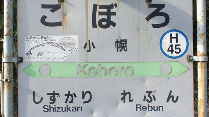 Stasiun Kereta Ini Dijuluki Paling Terpencil di Jepang, Lokasinya Sulit Diakses dengan Jalan Kaki