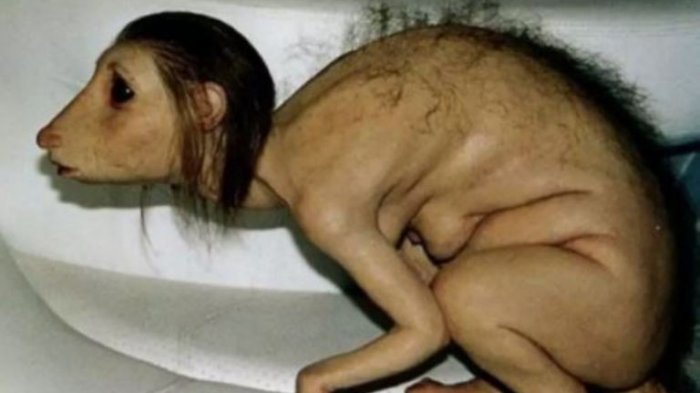 Sudah Dipercaya Banyak Orang, Eh Ternyata 7 Foto Ini Hoax Alias Hasil Editan