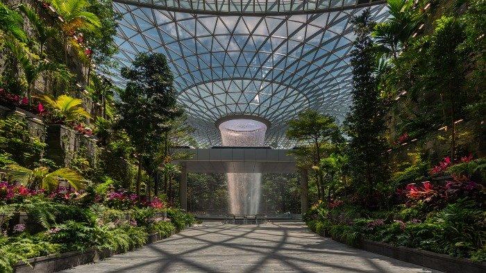 Berburu Tempat Instagenik di Jewel Changi Airport, Jangan Lupa Singgah ke Canopy Park