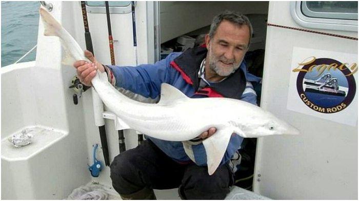 Pertama Kali Terjadi, Pemancing Temukan Hiu Leucistic Berwarna Putih