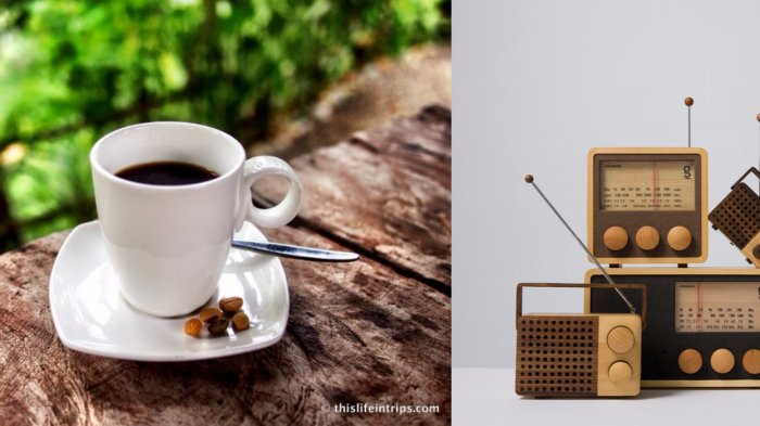 Tak Disangka! 11 Penemuan Indonesia yang Paling Mendunia, Satunya Kopi Luwak