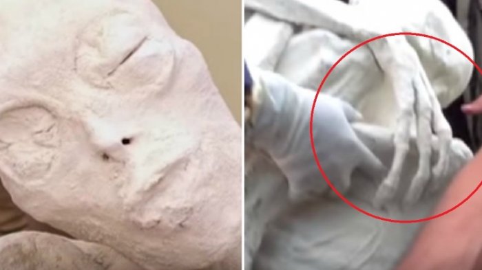 Cuma Punya Tiga Jari, Temuan Mumi di Peru Bikin Bingung Peneliti Hingga Diklaim Alien, Benarkah?