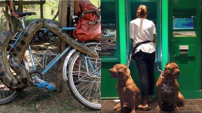 Geram Sering Jadi Korban Pencurian? Coba 14 Perangkat Anti Maling yang Tak Kamu Temukan di Toko Ini