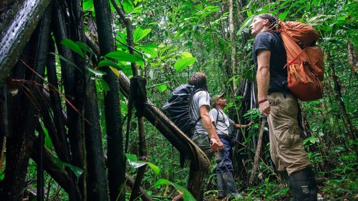 6 Cara Selamatkan Diri dari Serangga dan Tanaman Beracun di Alam Bebas, Plastik Bisa Dimanfaatkan