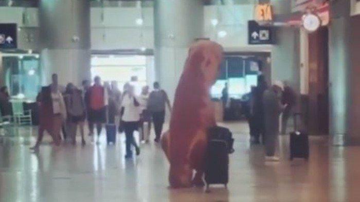 Bukannya Kenakan APD, Penumpang Ini Justru Pakai Kostum Konyol saat di Bandara