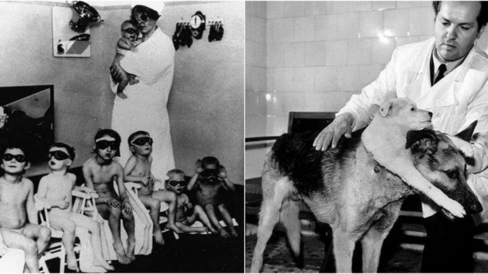 Mengerikan! 5 Penemuan Ilmiah Paling Kejam dari Era 50an, Termasuk Anjing Berkepala Dua